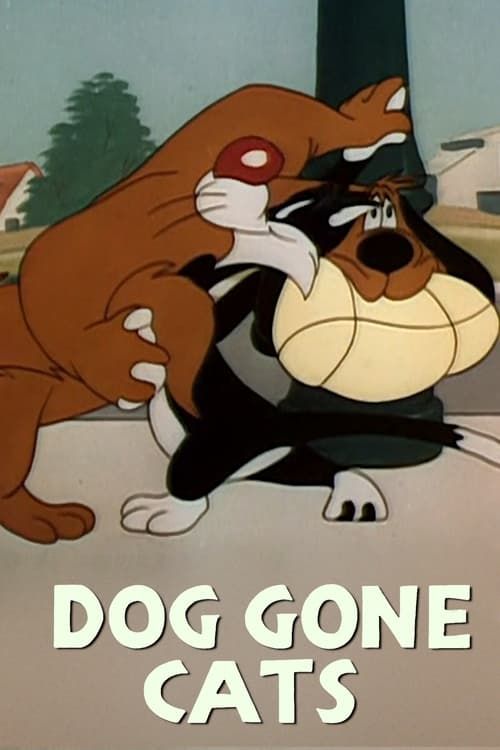 Key visual of Doggone Cats