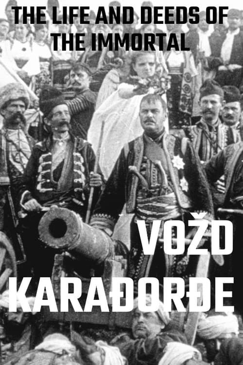 Key visual of The Life and Deeds of the Immortal Vožd Karađorđe