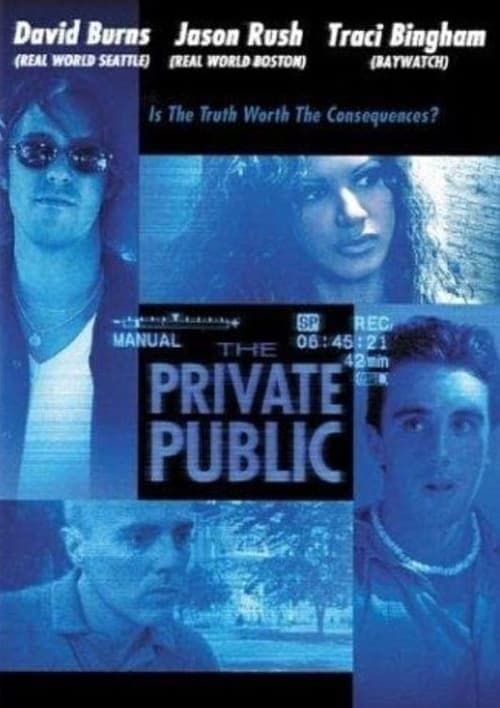 Key visual of The Private Public