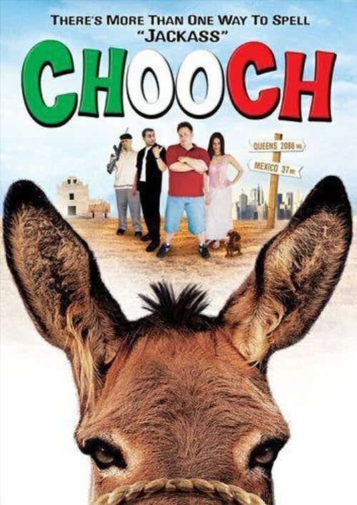 Key visual of Chooch