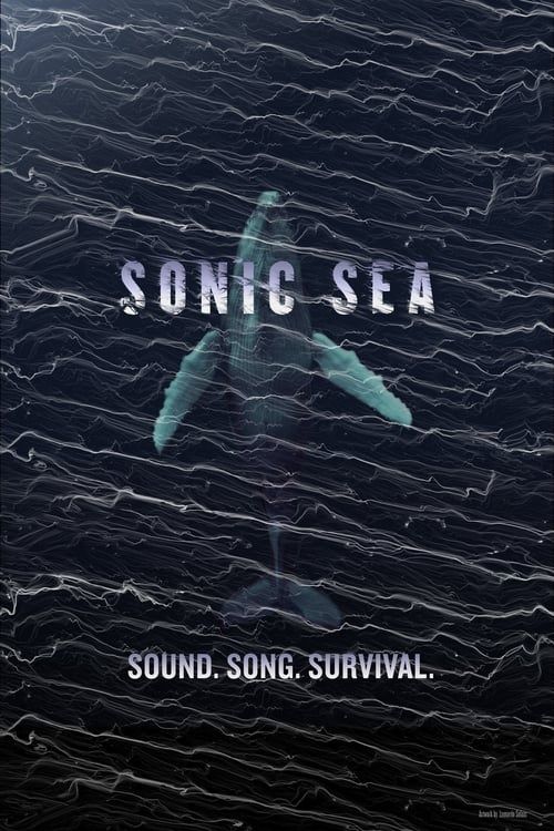 Key visual of Sonic Sea