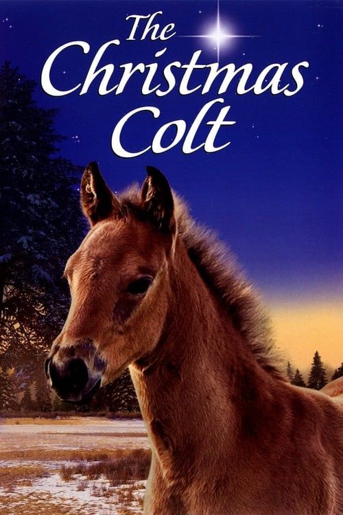 Key visual of The Christmas Colt