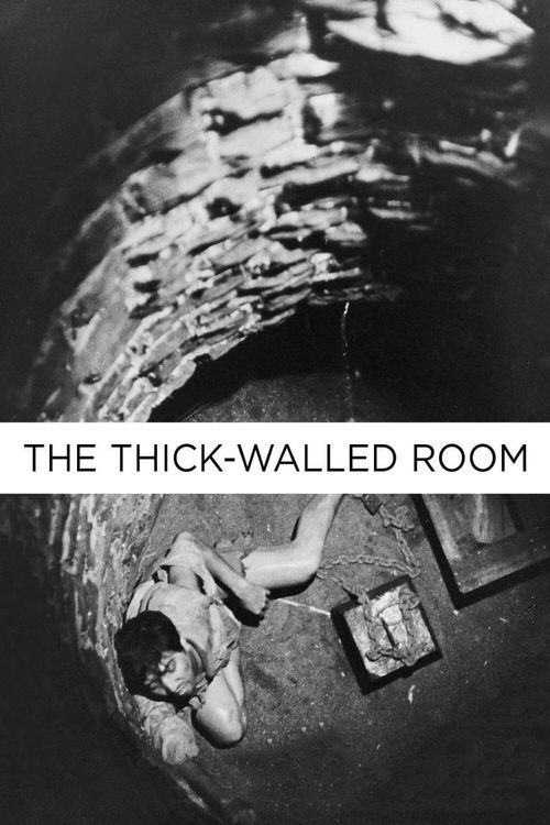 Key visual of The Thick-Walled Room