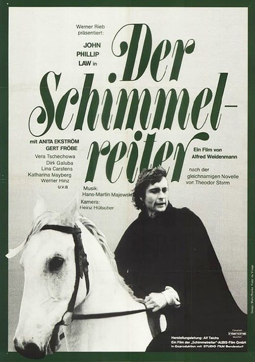 Key visual of Der Schimmelreiter