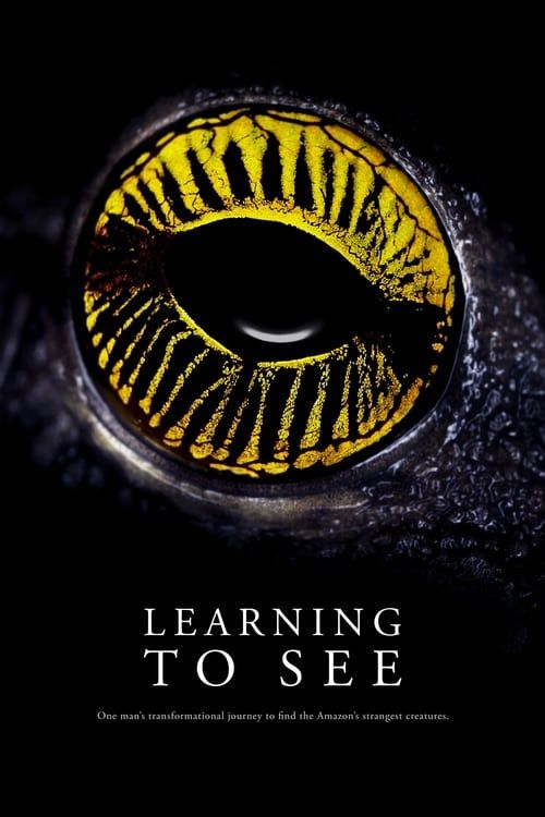 Key visual of Learning To See
