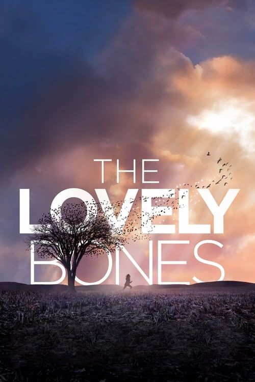 Key visual of The Lovely Bones