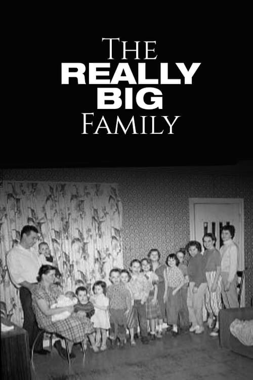 Key visual of The Really Big Family