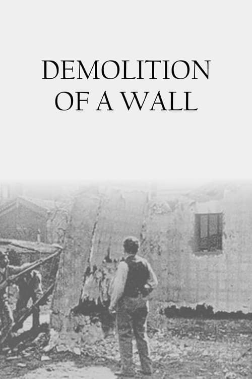 Key visual of Demolition of a Wall