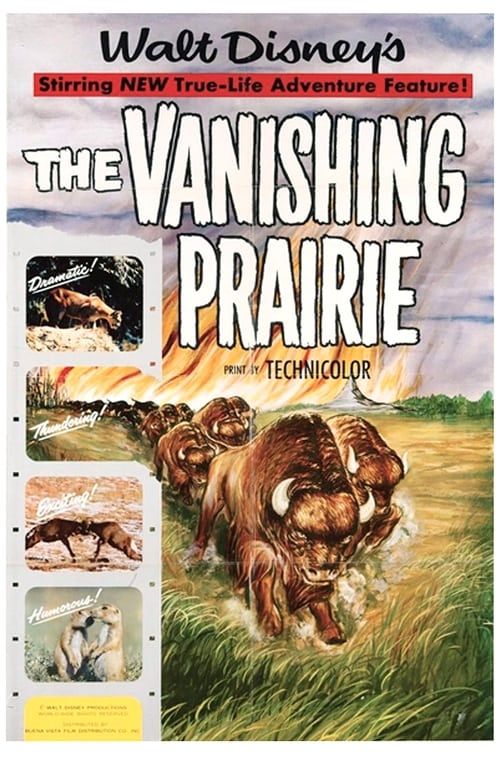 Key visual of The Vanishing Prairie