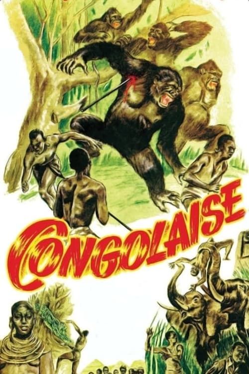 Key visual of Congolaise