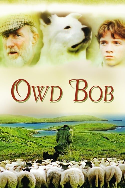 Key visual of Owd Bob