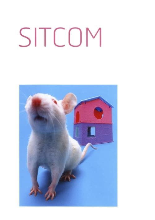 Key visual of Sitcom