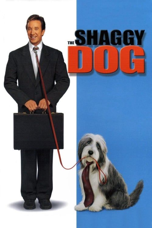 Key visual of The Shaggy Dog