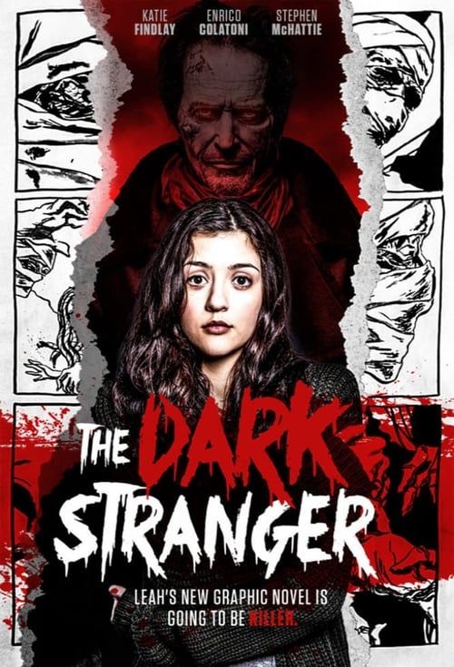 Key visual of The Dark Stranger
