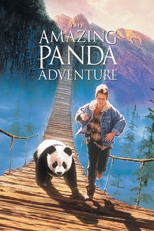 Key visual of The Amazing Panda Adventure