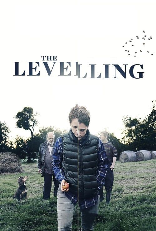 Key visual of The Levelling