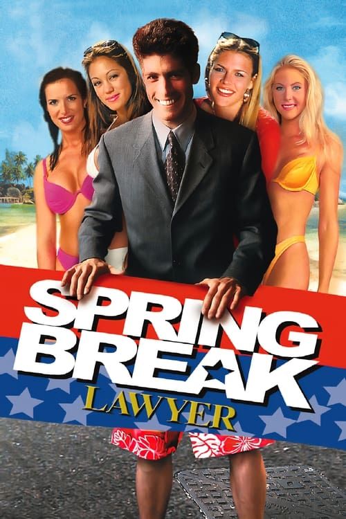 Key visual of Spring Break Lawyer