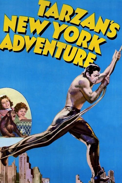 Key visual of Tarzan's New York Adventure