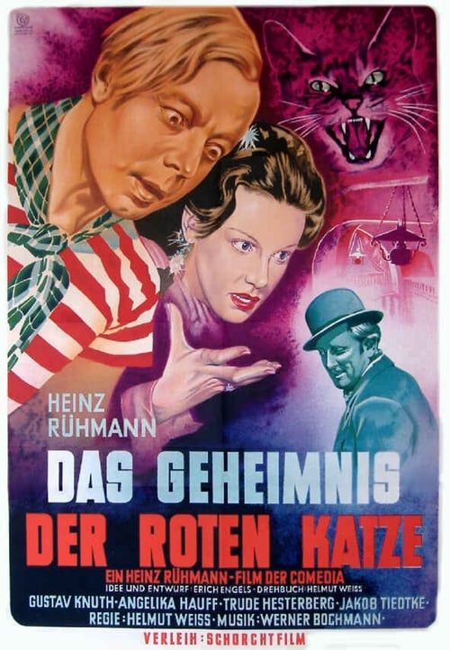 Key visual of Das Geheimnis der roten Katze