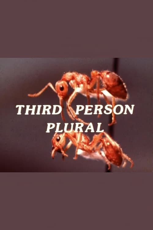 Key visual of Third Person Plural