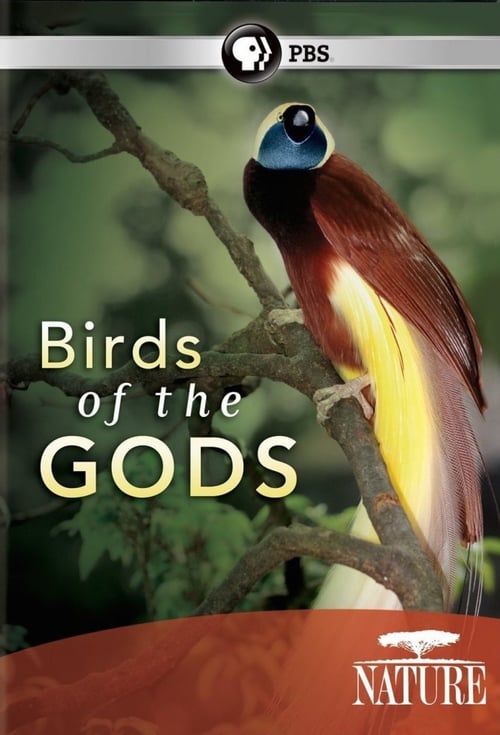 Key visual of Birds of the Gods