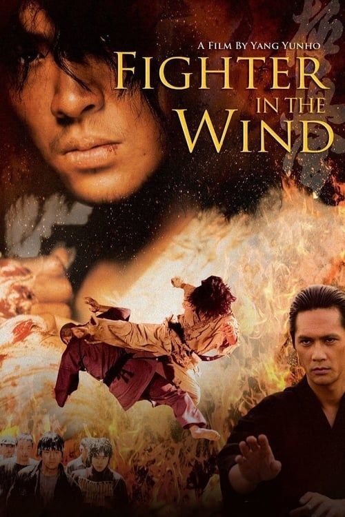 Key visual of Fighter in the Wind