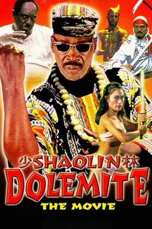 Key visual of Shaolin Dolemite