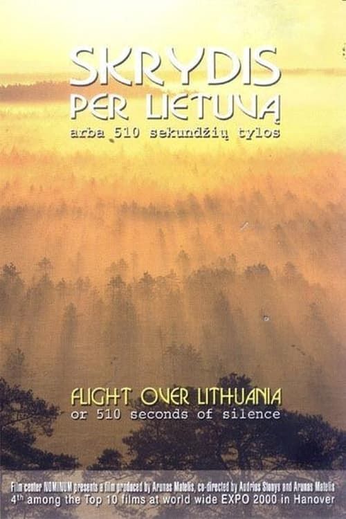 Key visual of Flight Over Lithuania or 510 Seconds of Silence