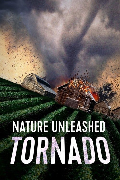 Key visual of Nature Unleashed: Tornado