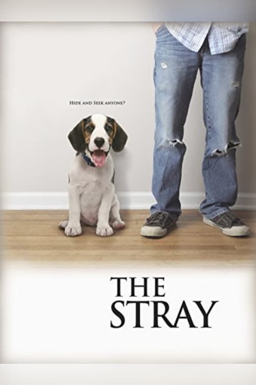 Key visual of The Stray