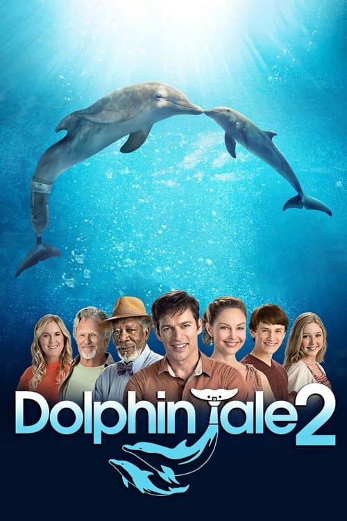 Key visual of Dolphin Tale 2