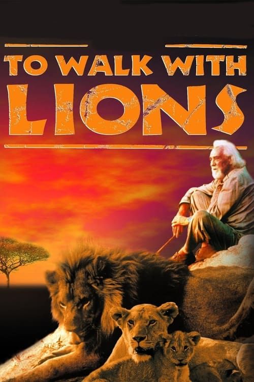 Key visual of To Walk with Lions