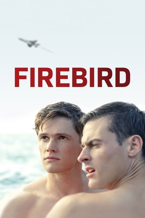Key visual of Firebird
