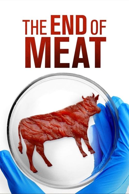 Key visual of The End of Meat