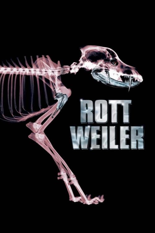 Key visual of Rottweiler