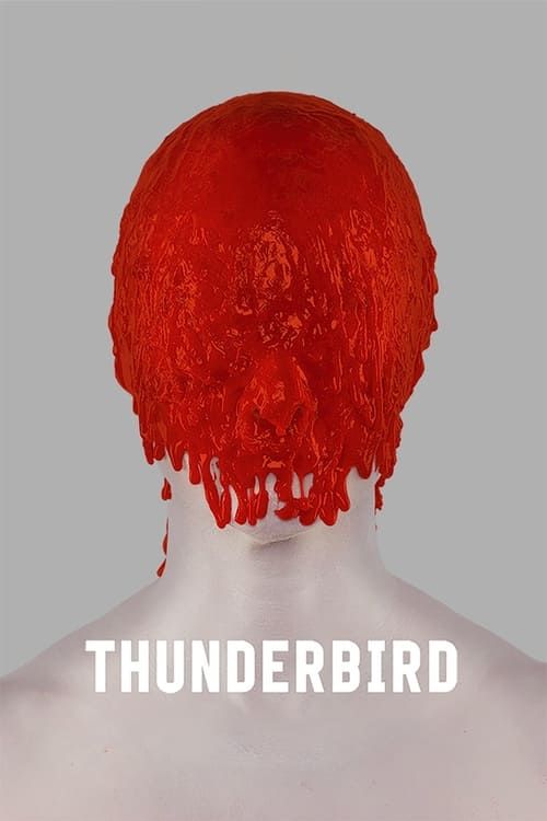 Key visual of Thunderbird