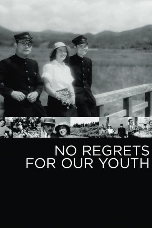 Key visual of No Regrets for Our Youth