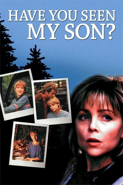 Key visual of Have You Seen My Son