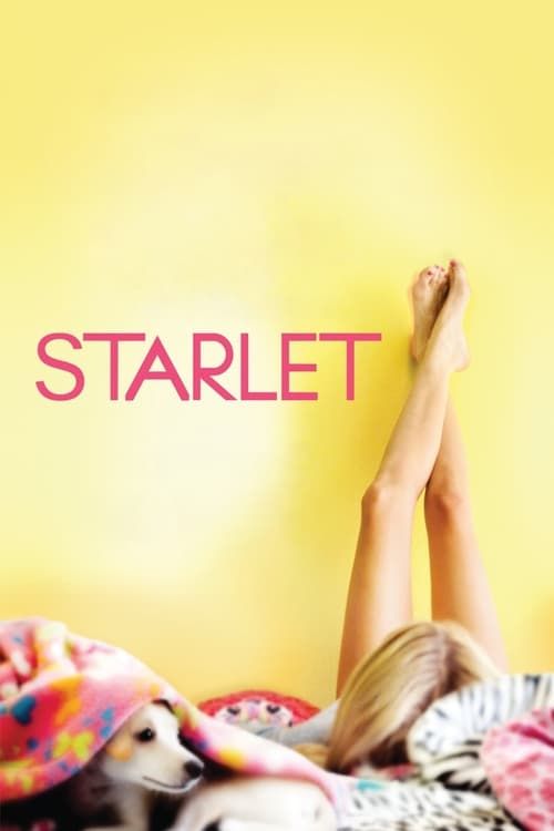 Key visual of Starlet
