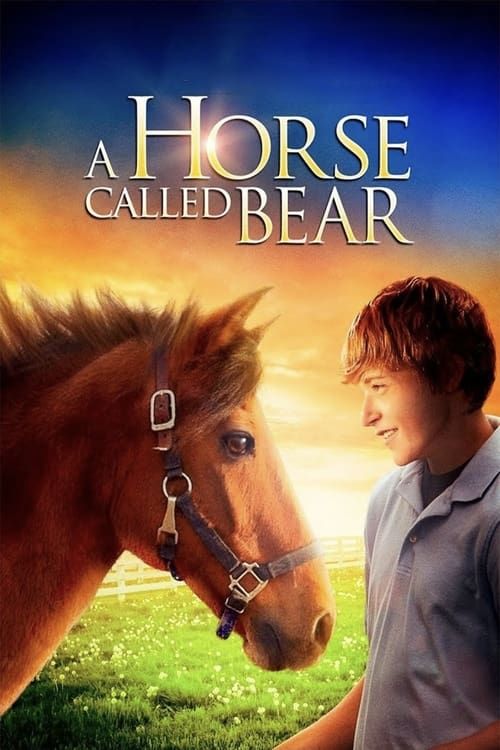 Key visual of A Horse Called Bear