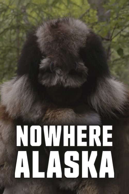 Key visual of Nowhere Alaska