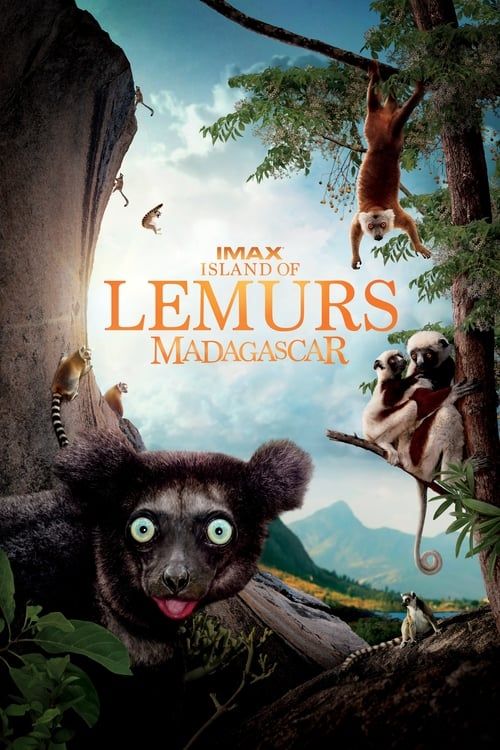 Key visual of Island of Lemurs: Madagascar