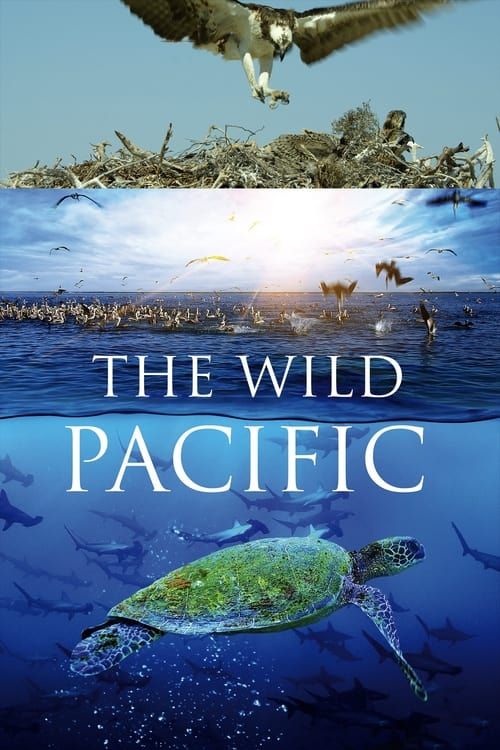 Key visual of The Wild Pacific