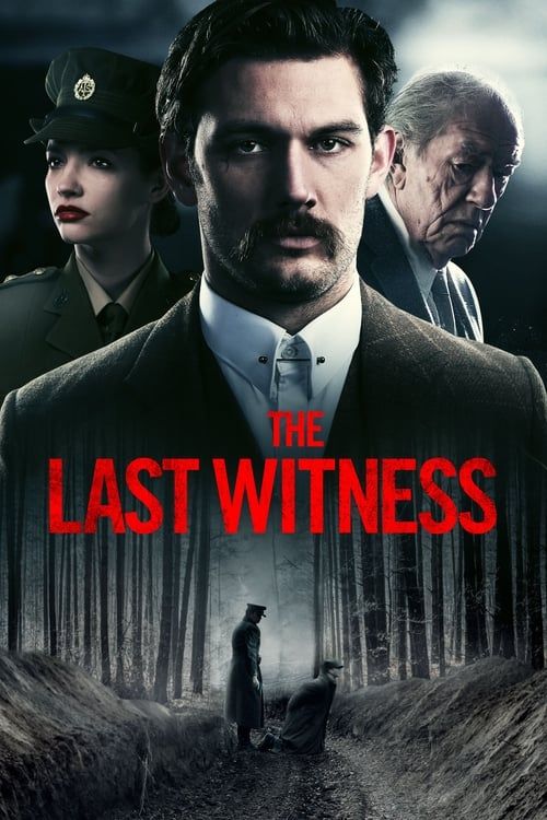 Key visual of The Last Witness
