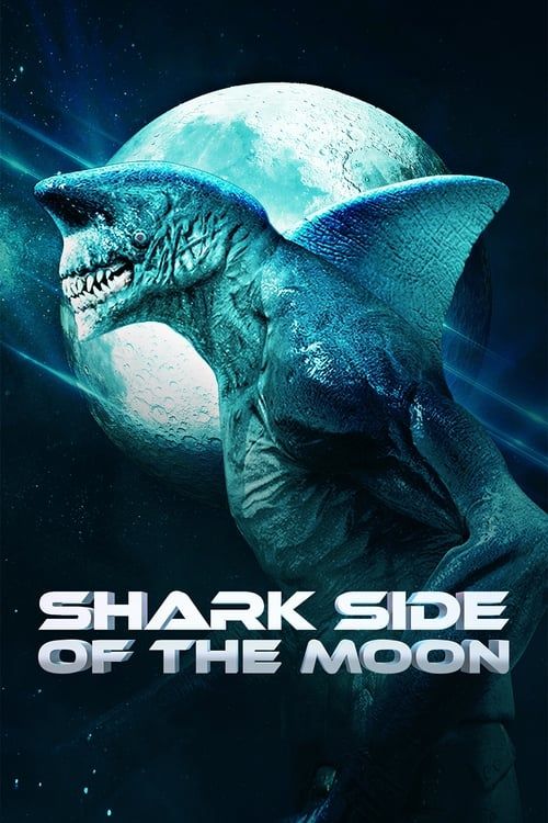 Key visual of Shark Side of the Moon