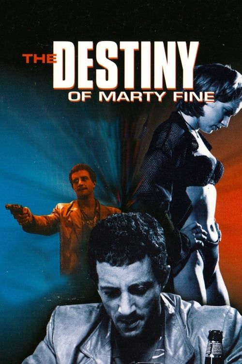 Key visual of The Destiny of Marty Fine
