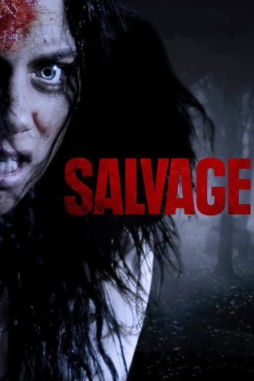Key visual of Salvage