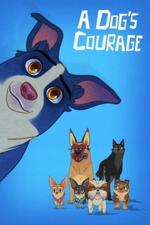 Key visual of A Dog's Courage