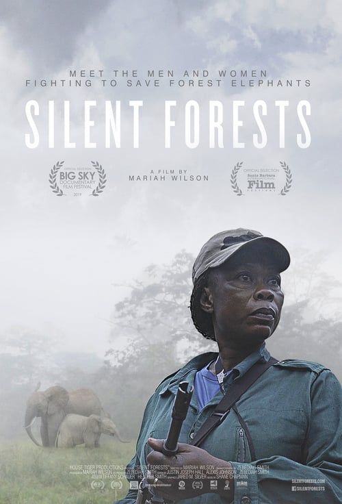 Key visual of Silent Forests