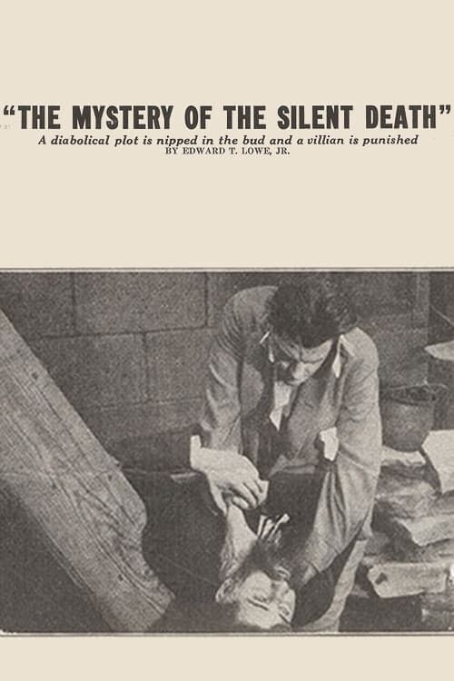 Key visual of The Mystery of the Silent Death